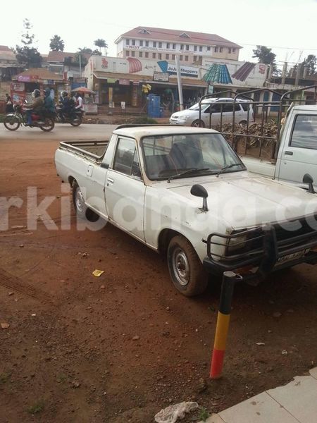 Big with watermark 16298494 1556577997703333 5880869471342312895 n