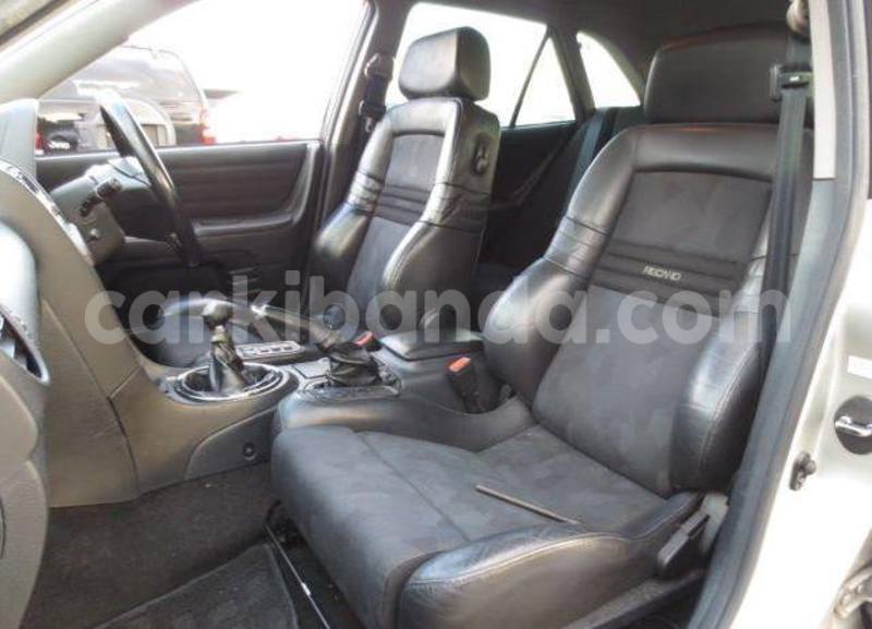 Big with watermark 16298494 1556577997703333 5880869471342312895 n