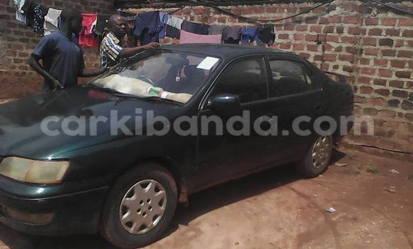 Buy Used Toyota Corolla Other Car in Kampala in Uganda Buy Used Toyota Corolla Other Car in Kampala in Uganda