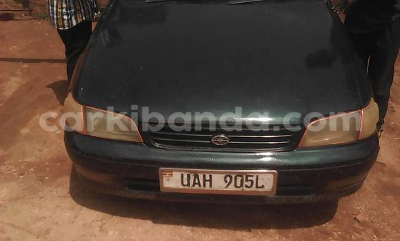Buy Used Toyota Corolla Other Car in Kampala in Uganda Buy Used Toyota Corolla Other Car in Kampala in Uganda