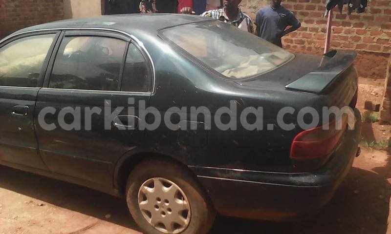 Big with watermark 16298494 1556577997703333 5880869471342312895 n