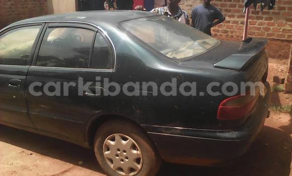 Buy Used Toyota Corolla Other Car in Kampala in Uganda Buy Used Toyota Corolla Other Car in Kampala in Uganda