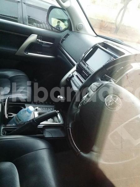 Big with watermark 16298494 1556577997703333 5880869471342312895 n