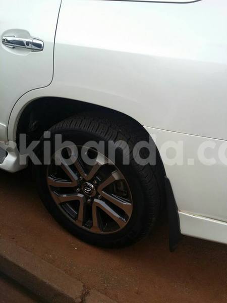 Big with watermark 16299227 1284429018289475 5943388659634541262 n