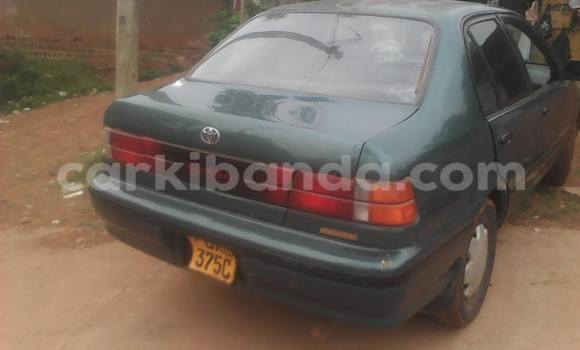 Buy Used Toyota Corsa Green Car in Kampala in Uganda Buy Used Toyota Corsa Green Car in Kampala in Uganda