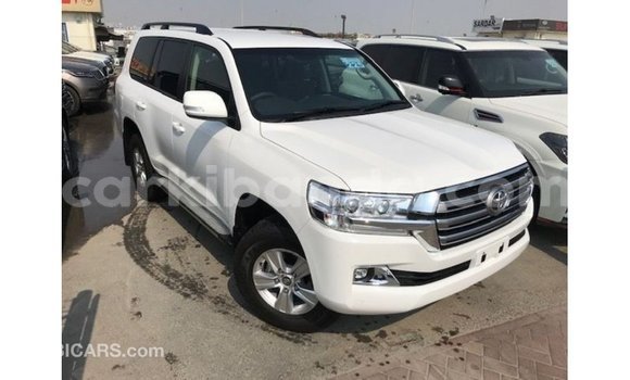 Gura Imported Toyota Land Cruiser White Imodoka i Import - Dubai mu Uganda Gura Imported Toyota Land Cruiser White Imodoka i Import - Dubai mu Uganda