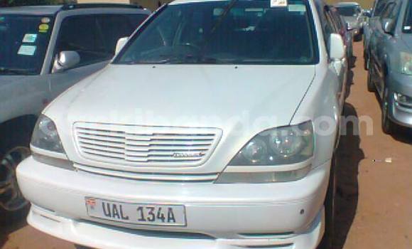 Buy Used Toyota Harrier White Car in Kampala in Uganda Buy Used Toyota Harrier White Car in Kampala in Uganda
