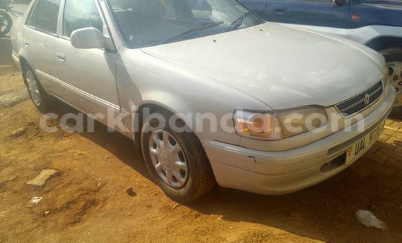 Buy Used Toyota Corolla Silver Car in Kampala in Uganda Buy Used Toyota Corolla Silver Car in Kampala in Uganda