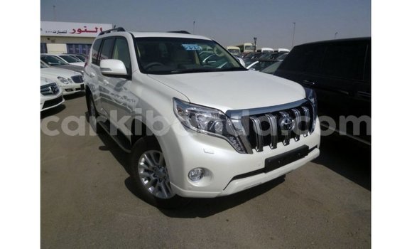Gura Imported Toyota Prado White Imodoka i Import - Dubai mu Uganda Gura Imported Toyota Prado White Imodoka i Import - Dubai mu Uganda