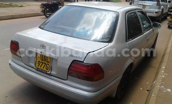Gura Yakoze Toyota Corolla Silver Imodoka i Kampala mu Uganda Gura Yakoze Toyota Corolla Silver Imodoka i Kampala mu Uganda