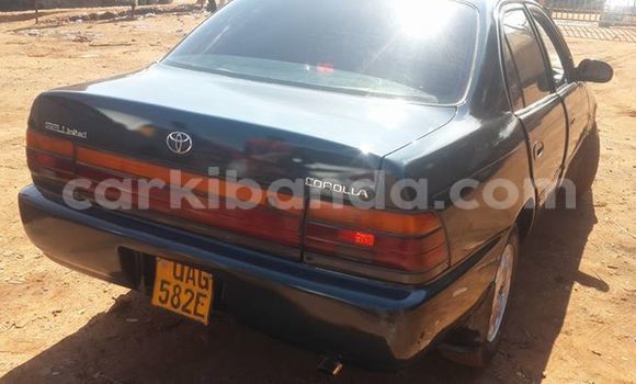 Acheter Occasion Voiture Toyota Corolla Noir à Kampala, Ouganda Acheter Occasion Voiture Toyota Corolla Noir à Kampala, Ouganda
