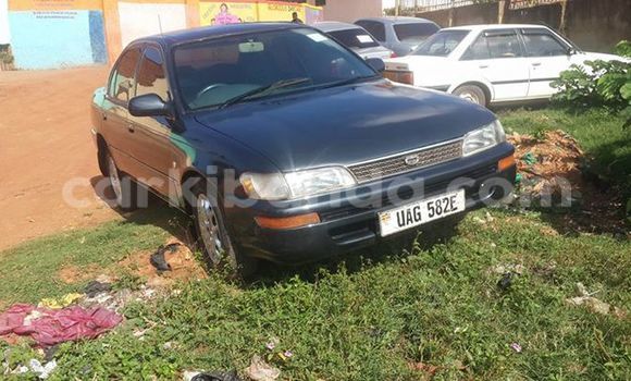 Acheter Occasion Voiture Toyota Corolla Noir à Kampala, Ouganda Acheter Occasion Voiture Toyota Corolla Noir à Kampala, Ouganda
