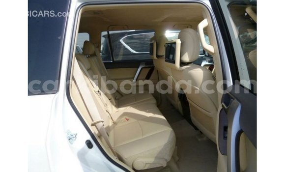 Buy Import Toyota Prado White Car in Import - Dubai in Uganda Buy Import Toyota Prado White Car in Import - Dubai in Uganda