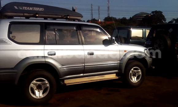 Gura Yakoze Toyota Land Cruiser White Imodoka i Arua mu Uganda Gura Yakoze Toyota Land Cruiser White Imodoka i Arua mu Uganda