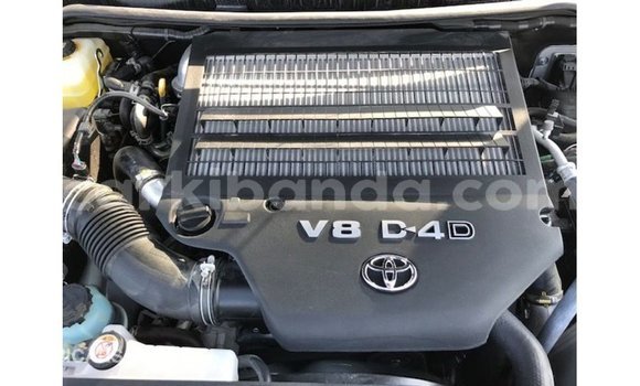 Nunua Imported Toyota Land Cruiser Nyeupe Gari ndani ya Import - Dubai nchini Uganda Nunua Imported Toyota Land Cruiser Nyeupe Gari ndani ya Import - Dubai nchini Uganda