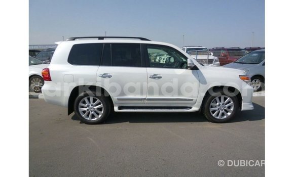 Gura Imported Toyota Land Cruiser White Imodoka i Import - Dubai mu Uganda Gura Imported Toyota Land Cruiser White Imodoka i Import - Dubai mu Uganda