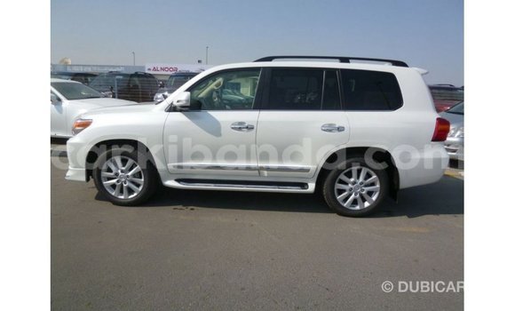 Gura Imported Toyota Land Cruiser White Imodoka i Import - Dubai mu Uganda Gura Imported Toyota Land Cruiser White Imodoka i Import - Dubai mu Uganda