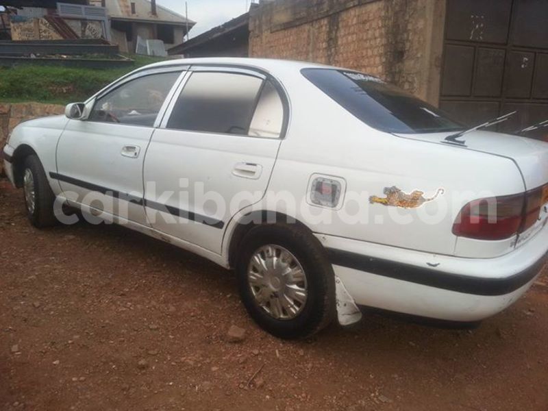 Big with watermark 16508402 687996474706900 565176718935992998 n