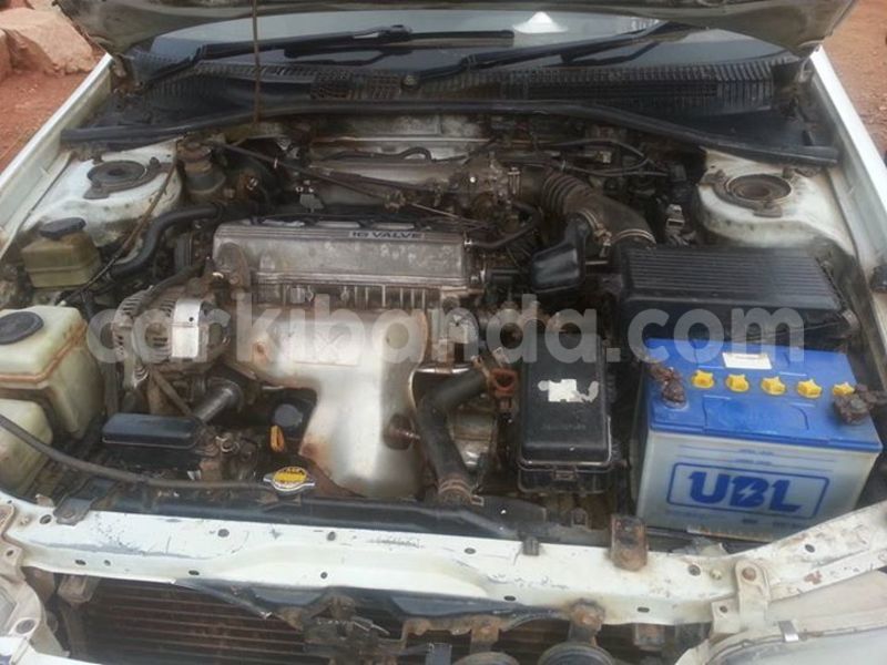 Big with watermark 17191162 1262958793790421 3182052266368934448 n