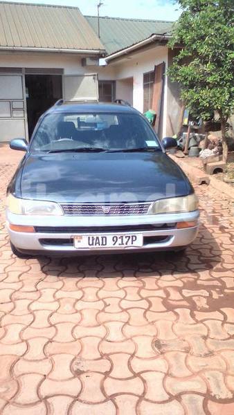 Big with watermark 16508402 687996474706900 565176718935992998 n