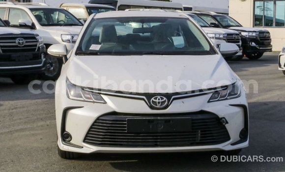 Acheter Import Voiture Toyota Corolla Blanc à Import - Dubai, Ouganda Acheter Import Voiture Toyota Corolla Blanc à Import - Dubai, Ouganda