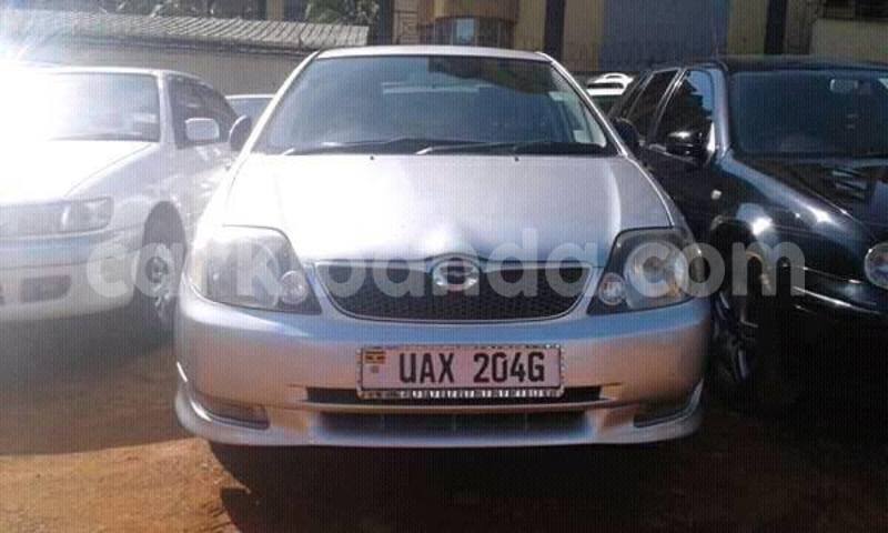 Big with watermark 16508402 687996474706900 565176718935992998 n