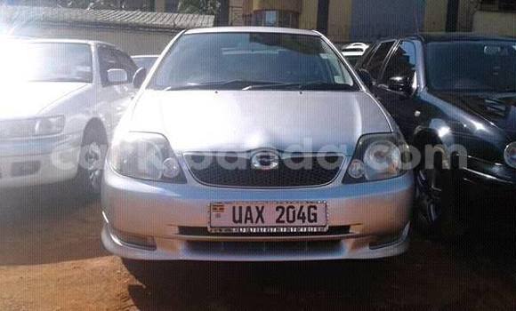 Nunua Ilio tumika Toyota Runx Fedha Gari ndani ya Kampala nchini Uganda Nunua Ilio tumika Toyota Runx Fedha Gari ndani ya Kampala nchini Uganda