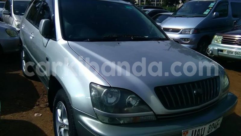 Big with watermark 17191162 1262958793790421 3182052266368934448 n