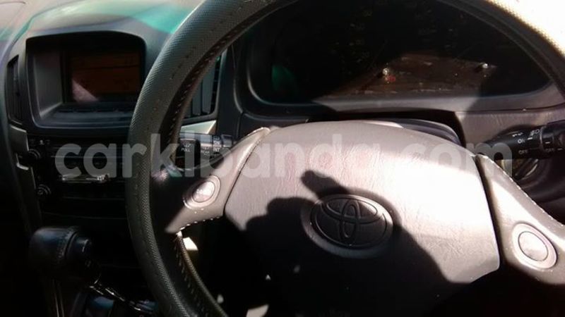 Big with watermark 17362468 1477189875689466 5699783990963171139 n