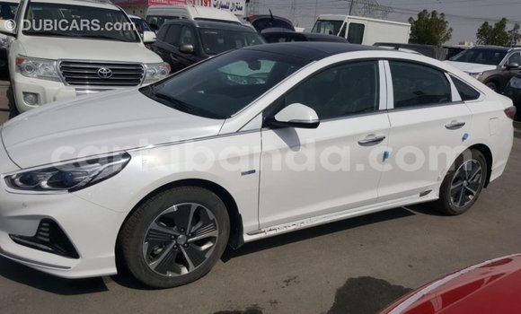 Nunua Imported Hyundai Sonata Nyeupe Gari ndani ya Import - Dubai nchini Uganda Nunua Imported Hyundai Sonata Nyeupe Gari ndani ya Import - Dubai nchini Uganda
