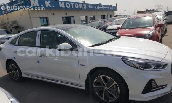 Nunua Imported Hyundai Sonata Nyeupe Gari ndani ya Import - Dubai nchini Uganda Nunua Imported Hyundai Sonata Nyeupe Gari ndani ya Import - Dubai nchini Uganda