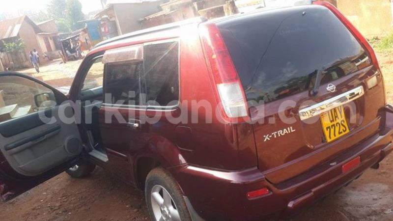 Big with watermark 17342716 136784040180539 8536093246308183350 n