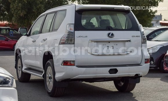 Gura Imported Lexus GX White Imodoka i Import - Dubai mu Uganda Gura Imported Lexus GX White Imodoka i Import - Dubai mu Uganda