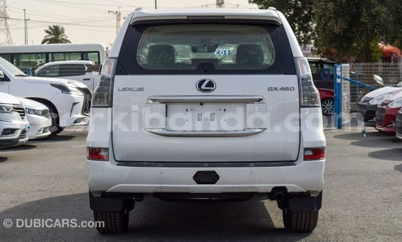 Gura Imported Lexus GX White Imodoka i Import - Dubai mu Uganda Gura Imported Lexus GX White Imodoka i Import - Dubai mu Uganda
