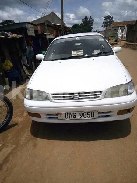 Big with watermark 17191162 1262958793790421 3182052266368934448 n