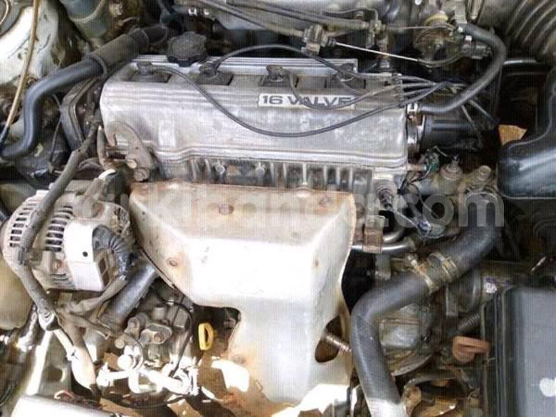 Big with watermark 17361815 1480818941963102 6314346449010111322 n