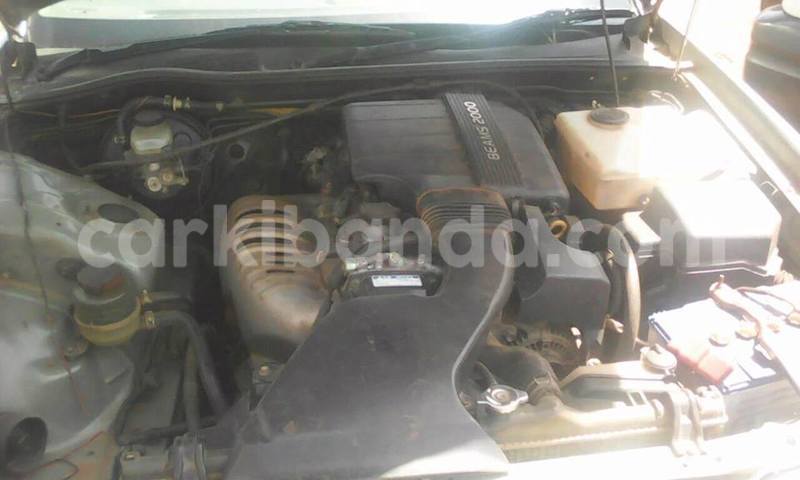 Big with watermark 17361815 1480818941963102 6314346449010111322 n