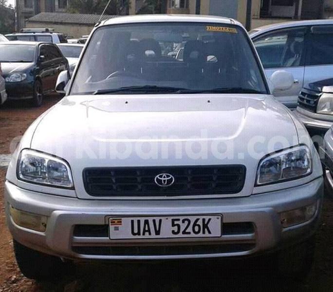 Big with watermark 17191162 1262958793790421 3182052266368934448 n