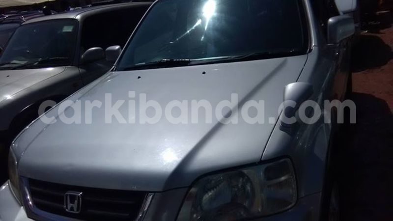 Big with watermark 17361815 1480818941963102 6314346449010111322 n