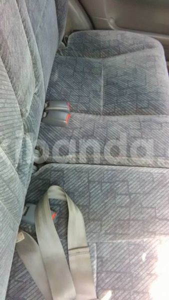 Big with watermark 17362468 1477189875689466 5699783990963171139 n