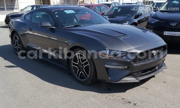 Buy Import Ford Mustang Other Car in Import - Dubai in Uganda Buy Import Ford Mustang Other Car in Import - Dubai in Uganda
