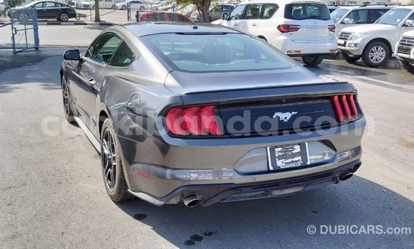 Buy Import Ford Mustang Other Car in Import - Dubai in Uganda Buy Import Ford Mustang Other Car in Import - Dubai in Uganda