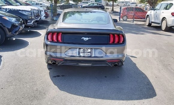 Buy Import Ford Mustang Other Car in Import - Dubai in Uganda Buy Import Ford Mustang Other Car in Import - Dubai in Uganda
