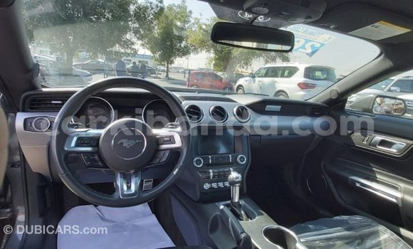 Buy Import Ford Mustang Other Car in Import - Dubai in Uganda Buy Import Ford Mustang Other Car in Import - Dubai in Uganda