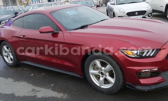 Buy Import Ford Mustang Red Car in Import - Dubai in Uganda Buy Import Ford Mustang Red Car in Import - Dubai in Uganda