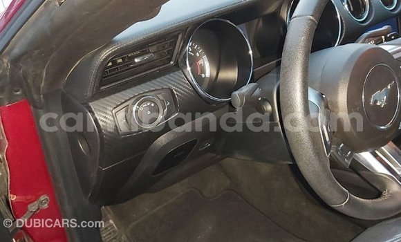 Buy Import Ford Mustang Red Car in Import - Dubai in Uganda Buy Import Ford Mustang Red Car in Import - Dubai in Uganda
