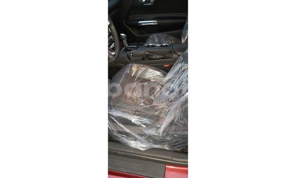 Buy Import Ford Mustang Red Car in Import - Dubai in Uganda Buy Import Ford Mustang Red Car in Import - Dubai in Uganda
