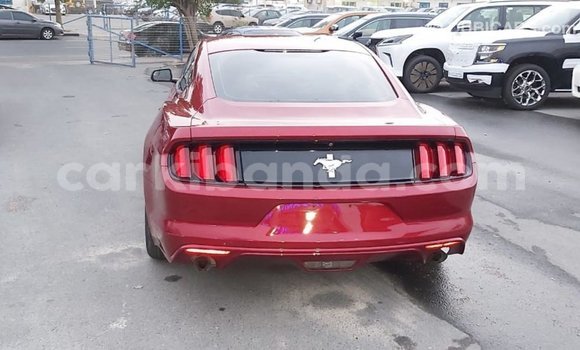 Buy Import Ford Mustang Red Car in Import - Dubai in Uganda Buy Import Ford Mustang Red Car in Import - Dubai in Uganda