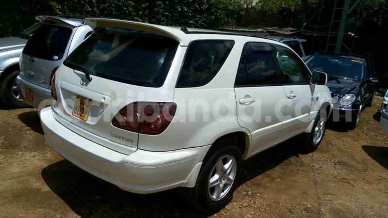 Big with watermark 17342716 136784040180539 8536093246308183350 n