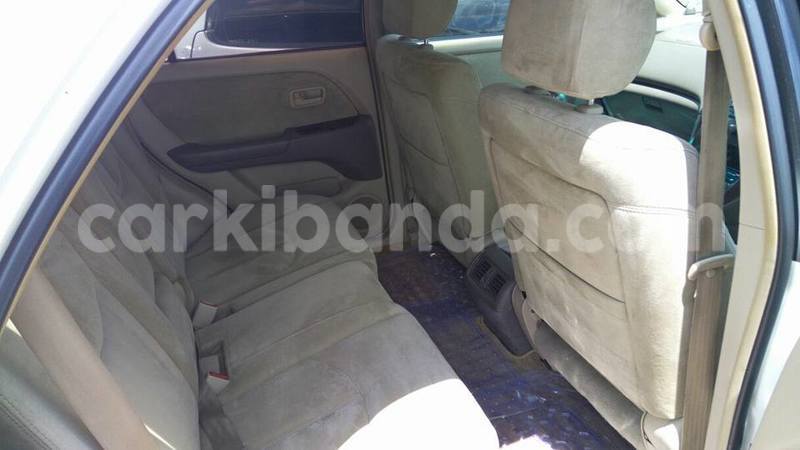 Big with watermark 17522987 992682574198213 3430188652153496677 n